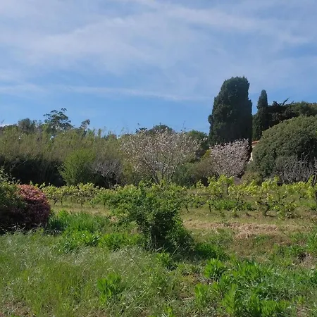 Villa Soupicou-2